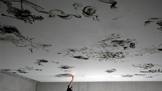 Modern Day Michelangelo Paints Ceilings With BIC Lighter